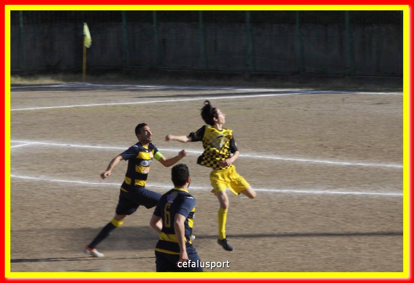 200301 Cepha_Mazara 052.jpg